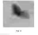 Fig. 08 - Particle functionalization