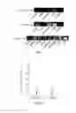 Fig. 04 - Plants as functional microRNA and/or functional siRNA carriers, preparation methods and uses thereof