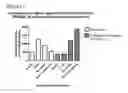 Fig. 22 - Pharmaceutical compounds targeted by MIF affinity-tethered moieties