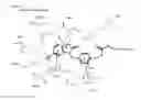 Fig. 26 - Pharmaceutical compounds targeted by MIF affinity-tethered moieties
