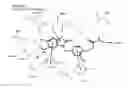 Fig. 28 - Pharmaceutical compounds targeted by MIF affinity-tethered moieties