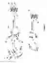 Fig. 02 - Self-assembling ultrashort peptides modified with bioactive agents by click chemistry