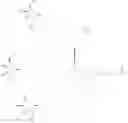 Fig. 16 - Peptide-based in vivo siRNA delivery system