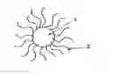 Fig. 01 - METHOD FOR ACCUMULATING TITANIUM OXIDE COMPOSITE PARTICLES INTO A CANCER TISSUE