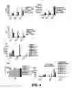 Fig. 05 - METHODS AND COMPOSITIONS FOR ENHANCING TRANSDUCTION EFFICIENCY OF RETROVIRAL VECTORS