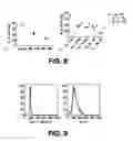 Fig. 09 - METHODS AND COMPOSITIONS FOR ENHANCING TRANSDUCTION EFFICIENCY OF RETROVIRAL VECTORS
