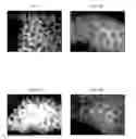 Fig. 01 - APPARATUS FOR FACILITATING CELL GROWTH IN AN IMPLANTABLE SENSOR
