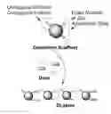 Fig. 01 - SYNTHESIS AND ISOLATION OF DENDRIMER BASED IMAGING SYSTEMS