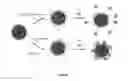 Fig. 12 - Compositions and methods for treatment and imaging using nanoparticles