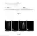 Fig. 17 - Compositions and methods for treatment and imaging using nanoparticles
