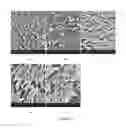 Fig. 06 - Resorbable ceramics with controlled strength loss rates