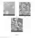 Fig. 23 - Resorbable ceramics with controlled strength loss rates