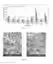 Fig. 26 - Resorbable ceramics with controlled strength loss rates