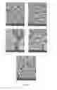 Fig. 29 - Resorbable ceramics with controlled strength loss rates