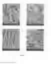 Fig. 30 - Resorbable ceramics with controlled strength loss rates