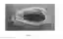 Fig. 05 - ARTIFICIAL BONE FORMS AND COMPOSITIONS FOR APPROXIMATING BONE