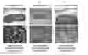 Fig. 01 - CELL CONSTRUCT FOR CELL TRANSPLANTATION, BIOCOMPATIBLE POLYMER BLOCK, AND METHOD FOR PRODUCING THE SAME