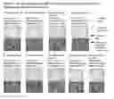 Fig. 07 - CELL CONSTRUCT FOR CELL TRANSPLANTATION, BIOCOMPATIBLE POLYMER BLOCK, AND METHOD FOR PRODUCING THE SAME