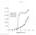 Fig. 10 - Production of moldable bone substitute