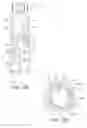 Fig. 09 - Pen type drug injection device with friction reducing dose encoder mechanism