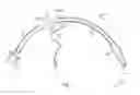 Fig. 02 - Bite Proof Endotracheal Tube