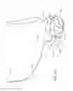 Fig. 46 - Patient interface