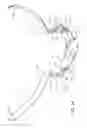 Fig. 50 - Patient interface