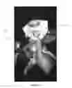 Fig. 15 - Liner for use with respiratory mask