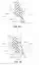 Fig. 76 - Patient interface and method for making same