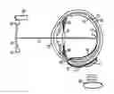 Fig. 01 - RETINAL IMPLANT WITH RECTIFIED AC POWERED PHOTODIODE