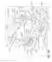 Fig. 14 - System and method for planning and monitoring multi-dose radiopharmaceutical usage on radiopharmaceutical injectors