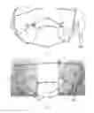 Fig. 02 - Respiratory protection device