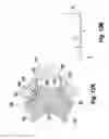 Fig. 13 - FIRE PROTECTION APPARATUS, SYSTEMS AND METHODS FOR ADDRESSING A FIRE WITH A MIST
