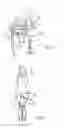 Fig. 04 - SPRINKLER SHUT-OFF APPARATUS