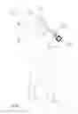 Fig. 02 - AUDIBLE SAFETY AND TRAINING METHOD FOR SPORTING EQUIPMENT