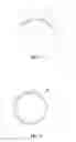 Fig. 02 - SEAMLESS WEBBING LOOP OF ROCK CLIMBING QUICKDRAW