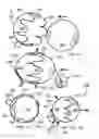 Fig. 02 - Golf ball holder and method thereof