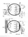 Fig. 08 - Golf ball holder and method thereof