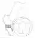 Fig. 01 - Device for improving performance in kicking sports