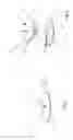 Fig. 03 - Reactive-mobility training appliance including a punching bag