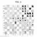 Fig. 04 - Quaternity Chess