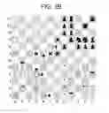 Fig. 06 - Quaternity Chess