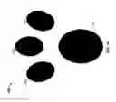 Fig. 02 - Devices and methods for creating prints on a surface