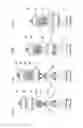 Fig. 09 - Combinable transformable toy