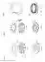 Fig. 04 - Water-soluble polymer dispersion appliance