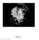 Fig. 03 - Articles of manufacture formed of amine-support particles and methods of making thereof