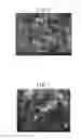 Fig. 05 - CARBON MATERIAL FOR CATALYST SUPPORT USE