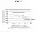 Fig. 04 - Catalytic converter