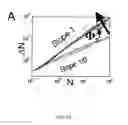 Fig. 06 - Self assembled particles