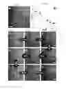 Fig. 12 - Self assembled particles
